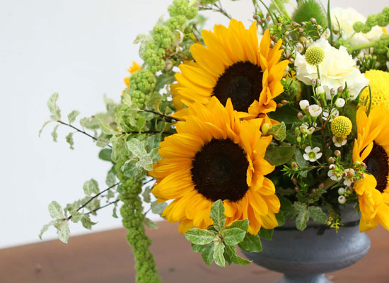 Summer Flowers - ޺ Ը  ɹ