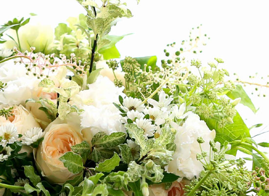 Summer Flowers - ħǳ  ɹ