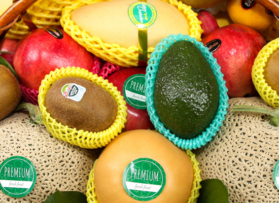Love Fruit Basket - ǰ Ϲٱ [ö119-8ȣ]  ɹ