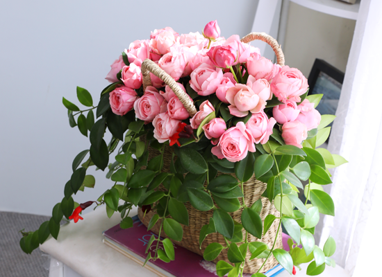 Romatic Rose ���� �ɹ��