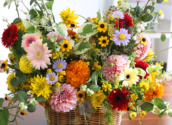 Sunlight Happiness ���� �ɹ��