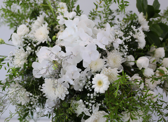 With Deepest Sympathy ���� �ɹ��