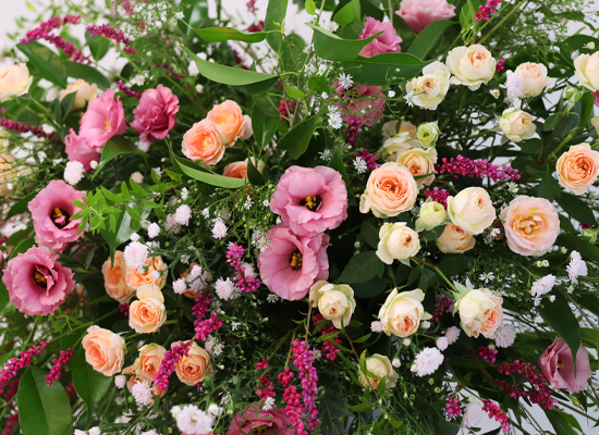 Where Warm Blessings Bloom ���� �ɹ��