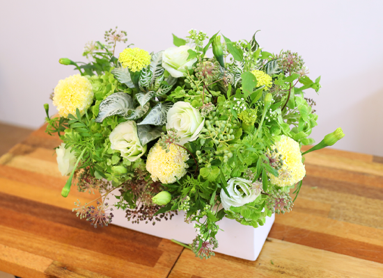 �ʷ� �� ��� ���� �ɹ��