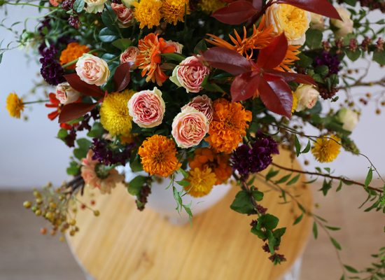 ������ ���� ������ �޻� ���� �ɹ��