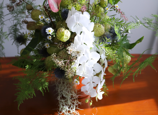 Garden of Timeless Trust ���� �ɹ��