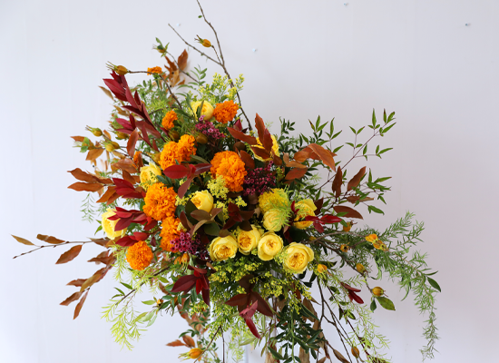 Brilliantly Ripened Today ���� �ɹ��