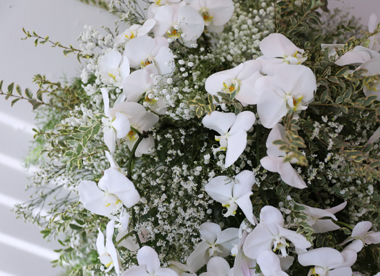 ������ �Ƚ��� ���� ���� �ɹ��