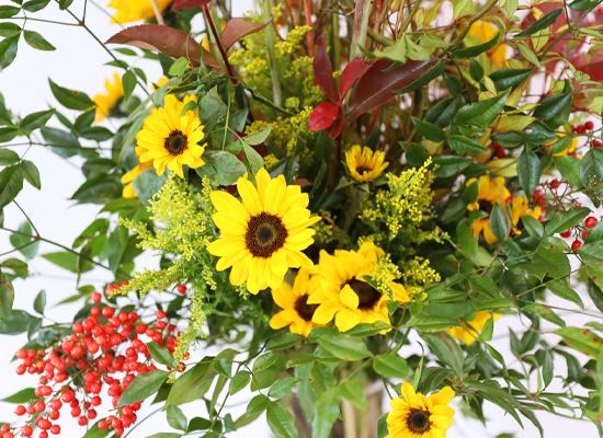 ���� �±��� ���� ���� �ɹ��