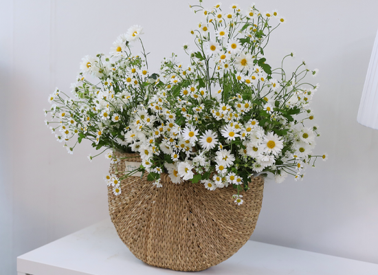 ���� �޻� ��� ���� ���� �ɹ��