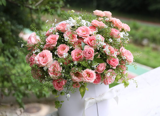 A Thought Just for You ���� �ɹ��