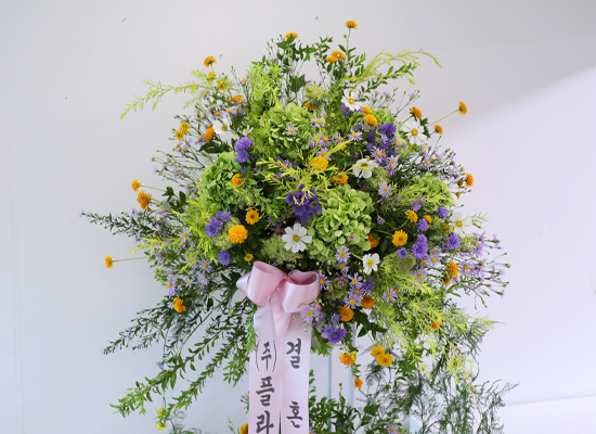 Green Wishes ���� �ɹ��