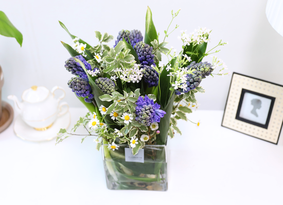 ���� ���� ���� ���� �ɹ��