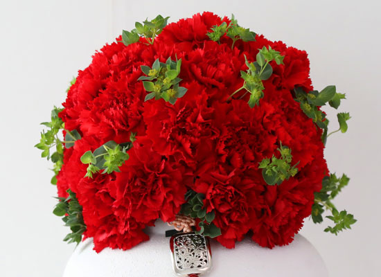 �޺� ���� ī���̼� ���׾Ƹ� ���� �ɹ��