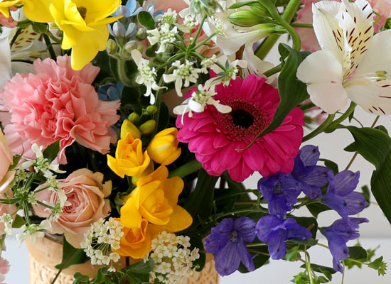 ���� ����� ��� - �θ�Բ� ���� �ɹ��