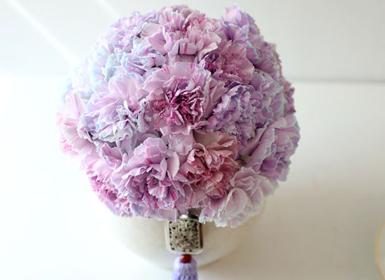 ���׾Ƹ� ī���̼� - Purple ���� �ɹ��