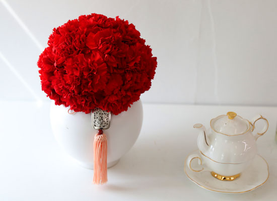 ���׾Ƹ� ī���̼� - ����� ī���̼� ���� �ɹ��