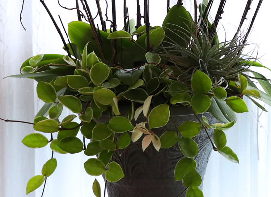 ���ֺ� �� �� �ɱ׸� - ������ �� ���� �ɹ��