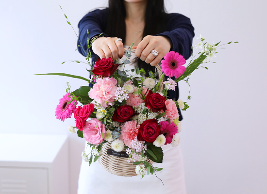 ��ũ �ȷ�Ʈ �Ҹ� - ���� ī���̼� ���� �ɹ��