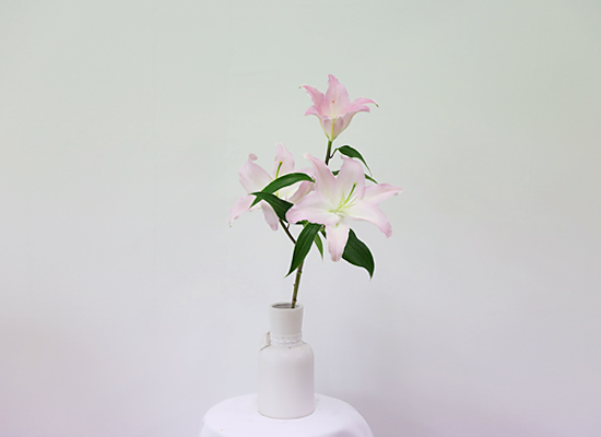 ũ  / 1  ɹ