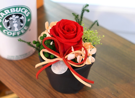 Endless Love - ����&���� ���� �ɹ��