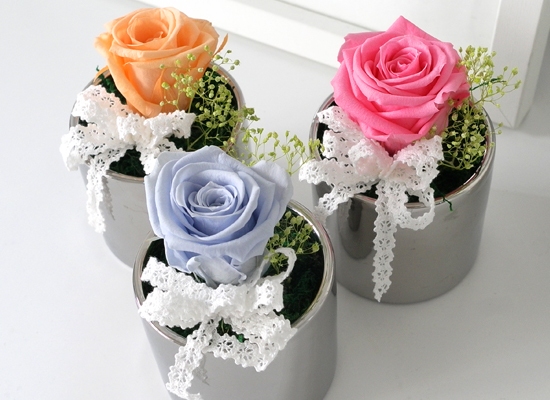 Endless Love - �ǹ�ȭ�� 3set ���� �ɹ��