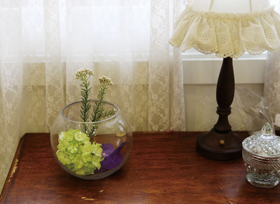 �׸�����-Clear round vase ���� �ɹ��