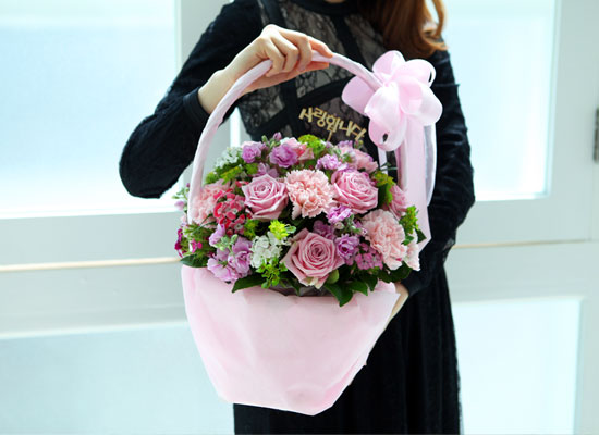 [�ù��ǰ] ��� ������ 5�� - Romantic carnation ���� �ɹ��