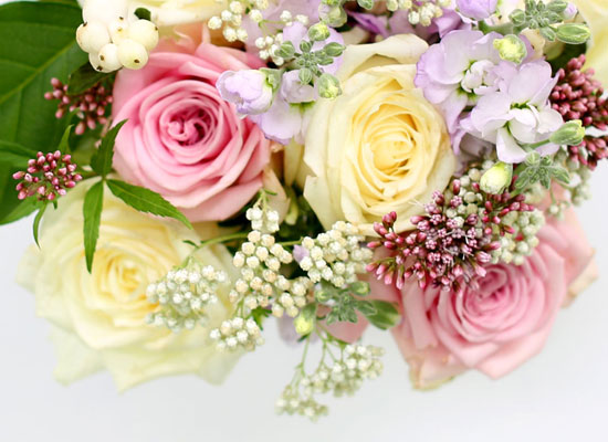 [�ù��ǰ]the Stephanie - �ҳర�� ��� ���� �ɹ��