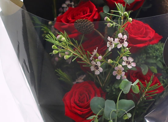 [�ù��ǰ]Fun florals by - Forever ���� �ɹ��