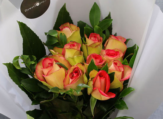 [�ù��ǰ]Fun florals by - April song ���� �ɹ��