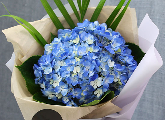 [�ù��ǰ]Fun florals by - ���緹�̵� ���� �ɹ��