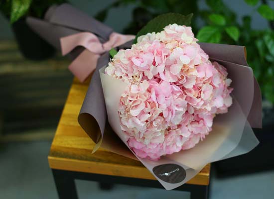 [�ù��ǰ]Fun florals by - ��ſ� ���� ���� �ɹ��