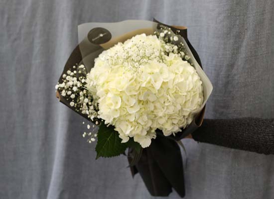 [�ù��ǰ]Fun florals by - ��ſ����� ���� �ɹ��