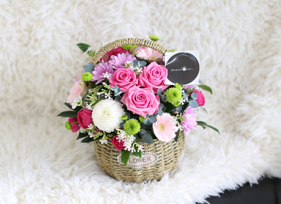 fall in love - ����ϱ� ���� �� ���� �ɹ��