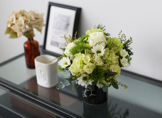 Fresh spring flower Whihe Blossom ���� �ɹ��
