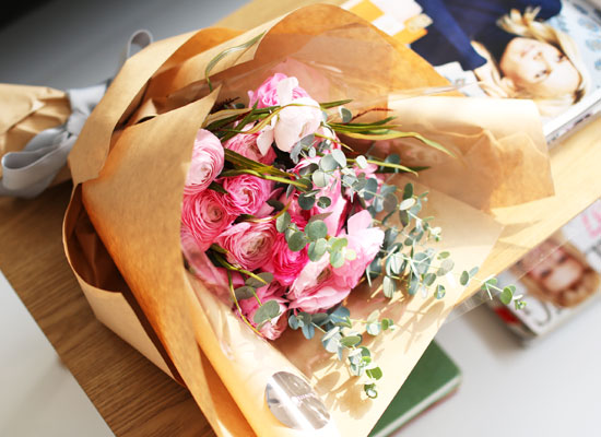 Fresh spring flower madeleine pink  ɹ