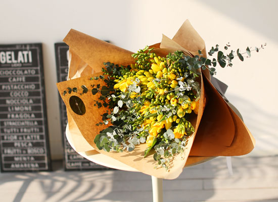 [�ù��ǰ]Fresh spring flower Hope of feather ���� �ɹ��