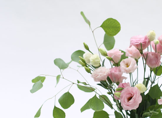��ũ���þȼŽ� ���� �ɹ��