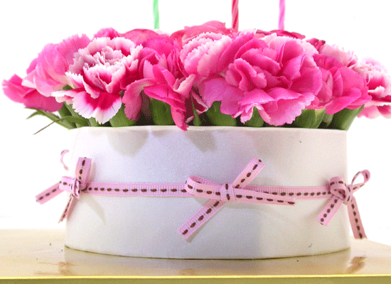 [] petit ami (ڶ ٹ)  ɹ