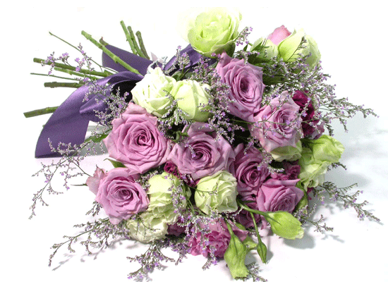French Purple  ɹ