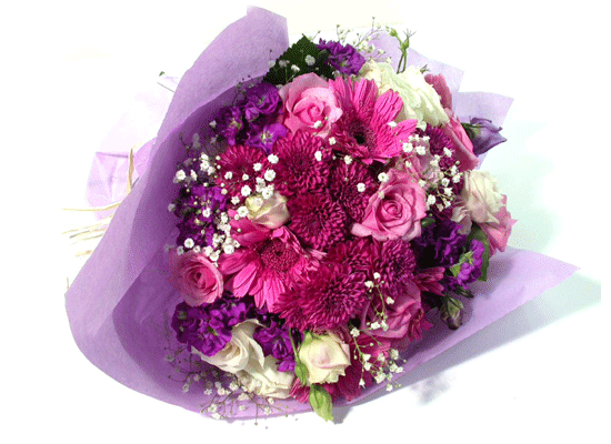 Elegant Rose  ɹ