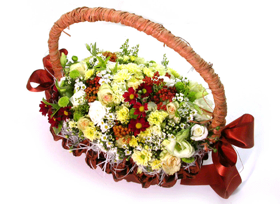 Brown-giftstyle()  ɹ