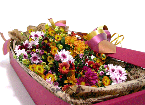 °¨¼ºÇöó¿ö-±¹ÈÇâ±â °¡µæÇÑ Çöó¿ö¹Ú½º ²ÉÁý ²É¹è´Þ