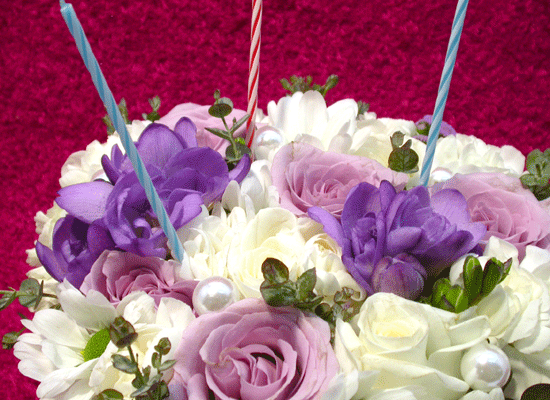 Birthday - ũ  ɹ