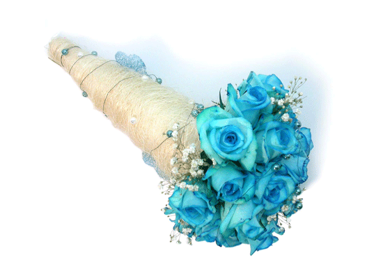 Yuki Blue(Ű)  ɹ