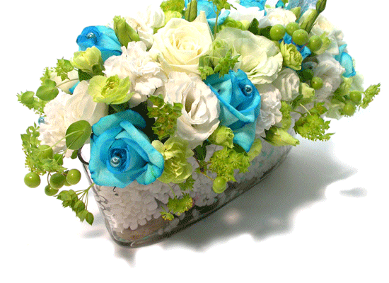 Sunny Blue()  ɹ