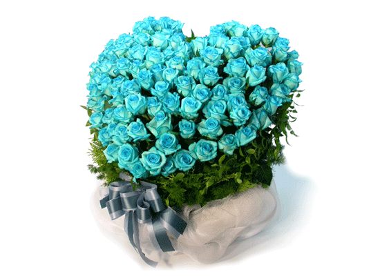 [￹] [100]Captaine Blue(ĸƾ)  ɹ