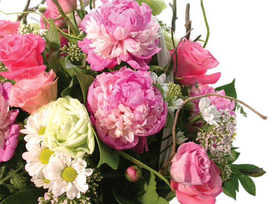 »ç¶ûÀ̶õ? - ÈâÇÑ ³¯! ²ÉÁý ²É¹è´Þ