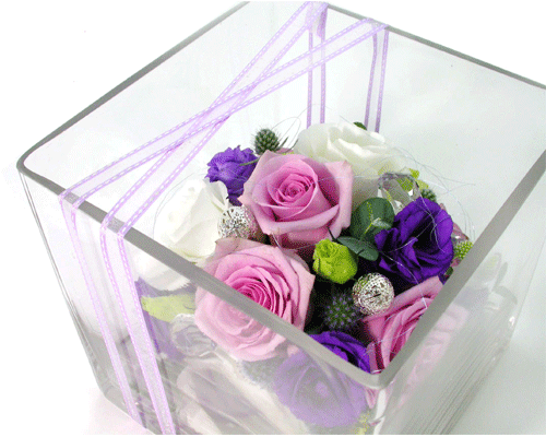   - (Rose)  ɹ